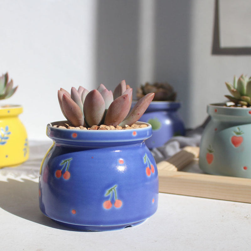 Ceramic Succulent Flowerpots!