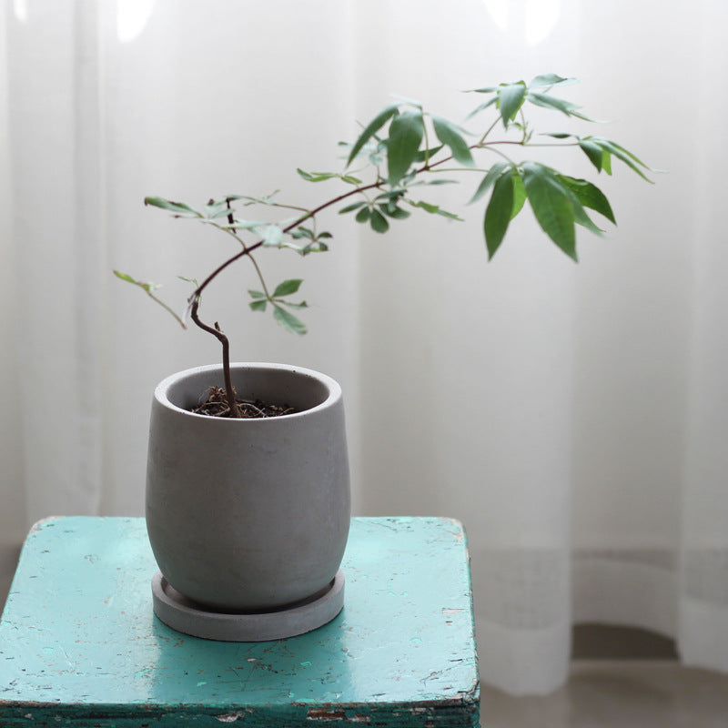 Round cement flower pot!