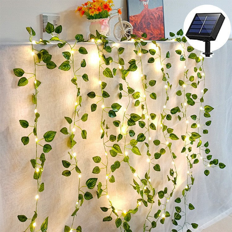 Garden Decorative Light!