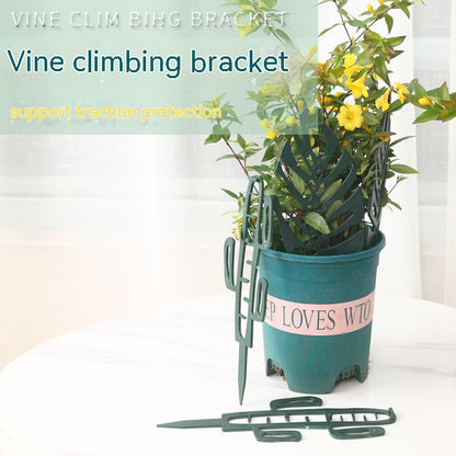 Plant Support Frame!