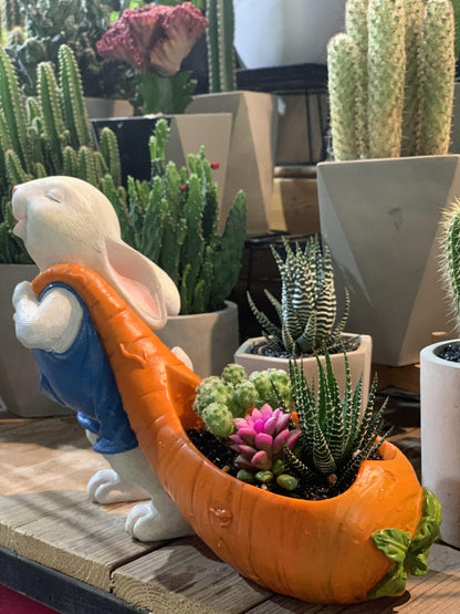 Creative Rabbit Flower Pot!