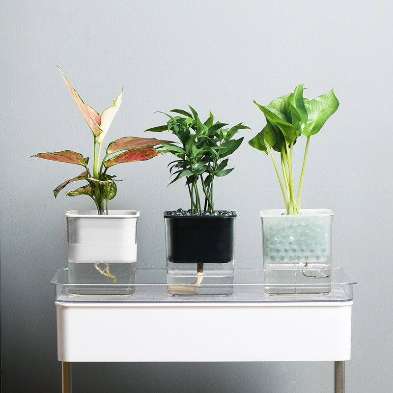 Hydroponic Flowerpot!
