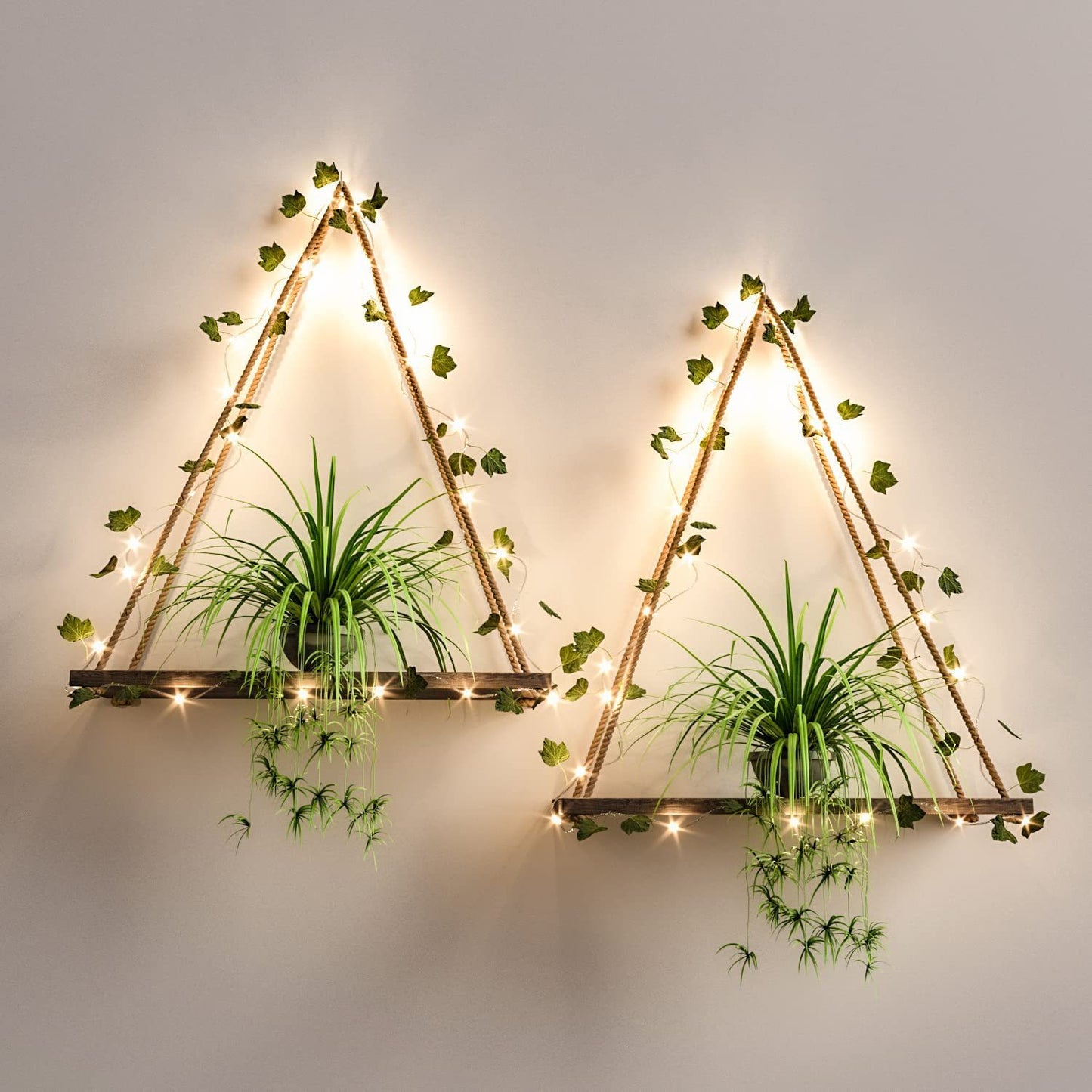 Wall Mount Plant Decoration!