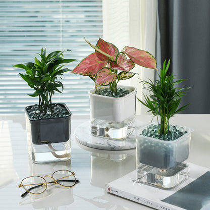 Hydroponic Flowerpot!