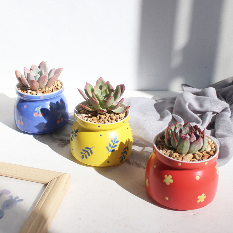 Ceramic Succulent Flowerpots!