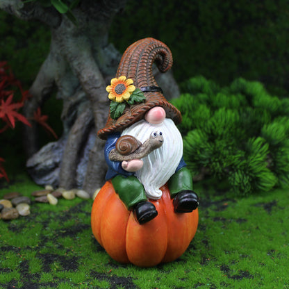 Creative Garden Dwarf Decoration!