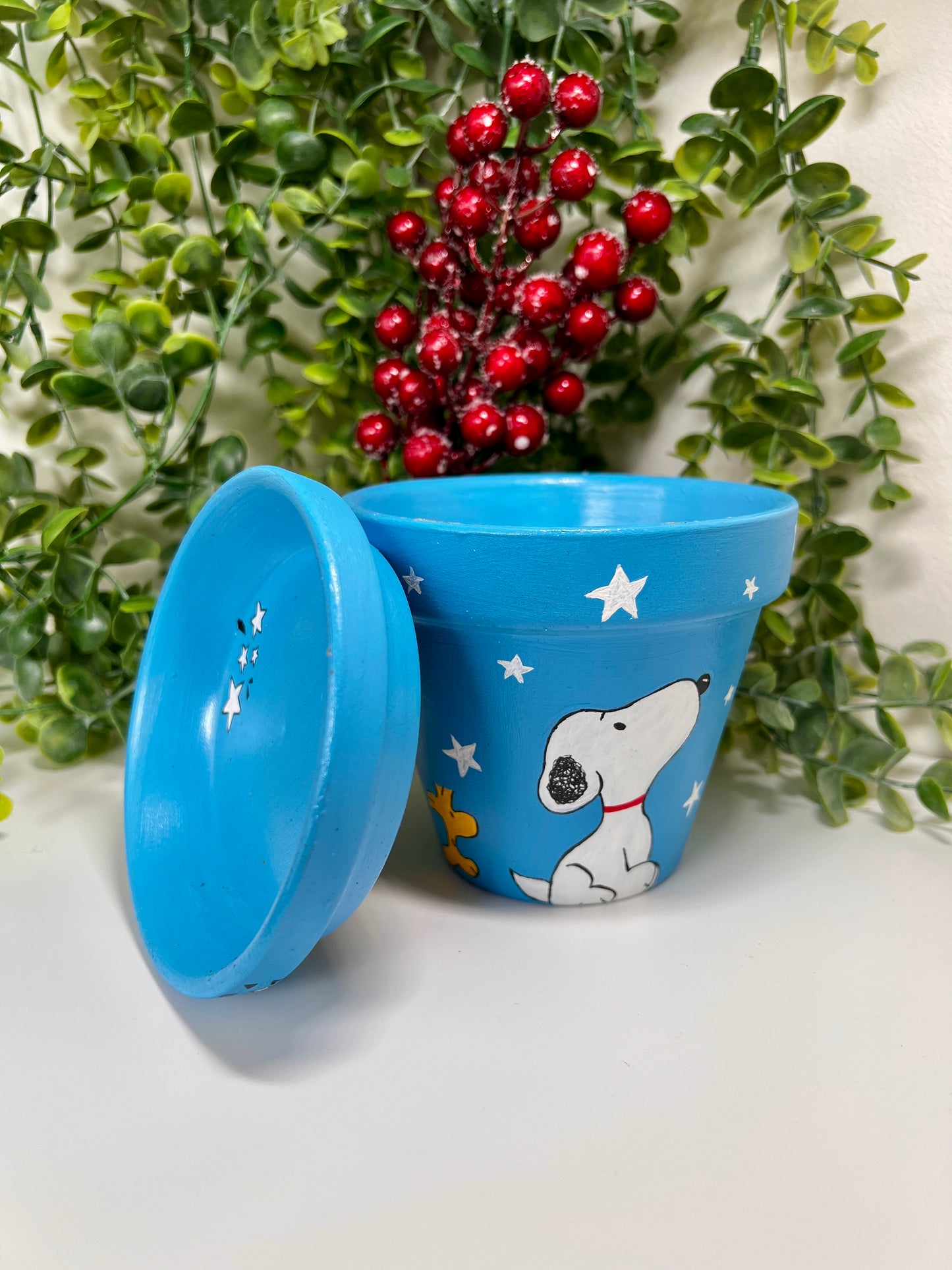 Hand-paint Ceramic Flowerpot!