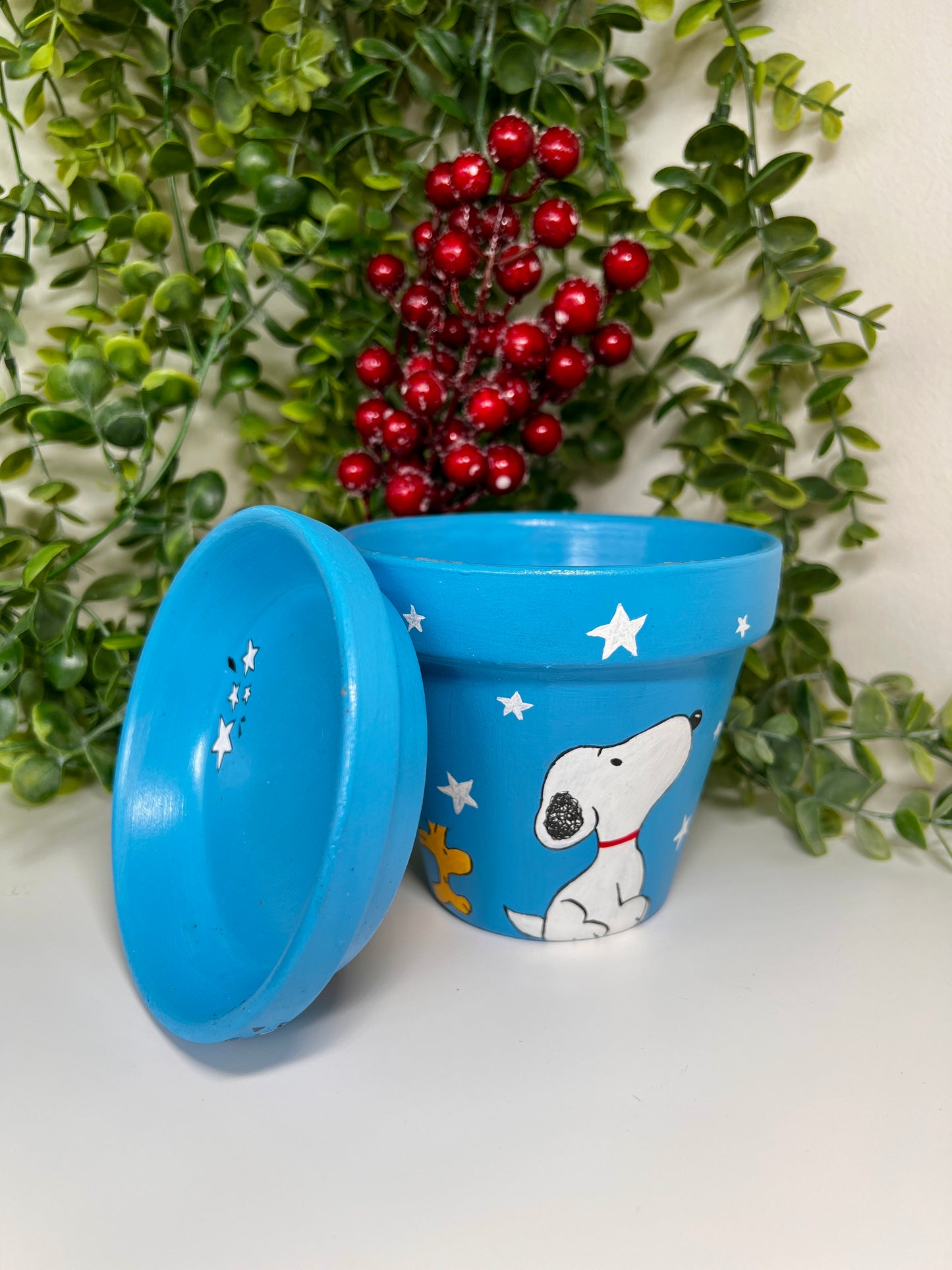 Hand-paint Ceramic Flowerpot!