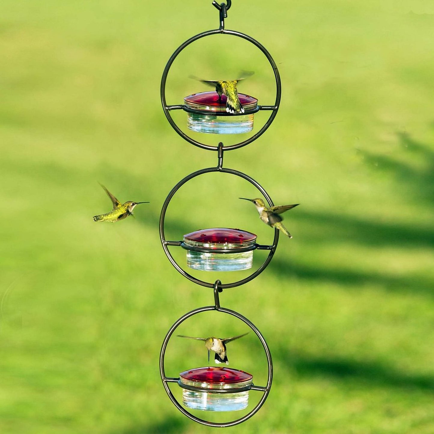 Hummingbird Feeder!