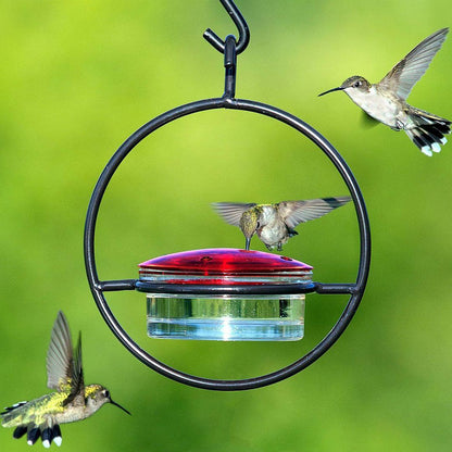 Hummingbird Feeder!