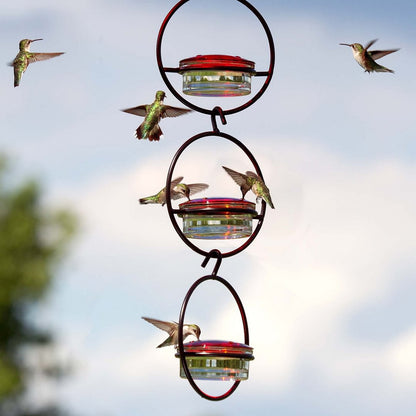 Hummingbird Feeder!