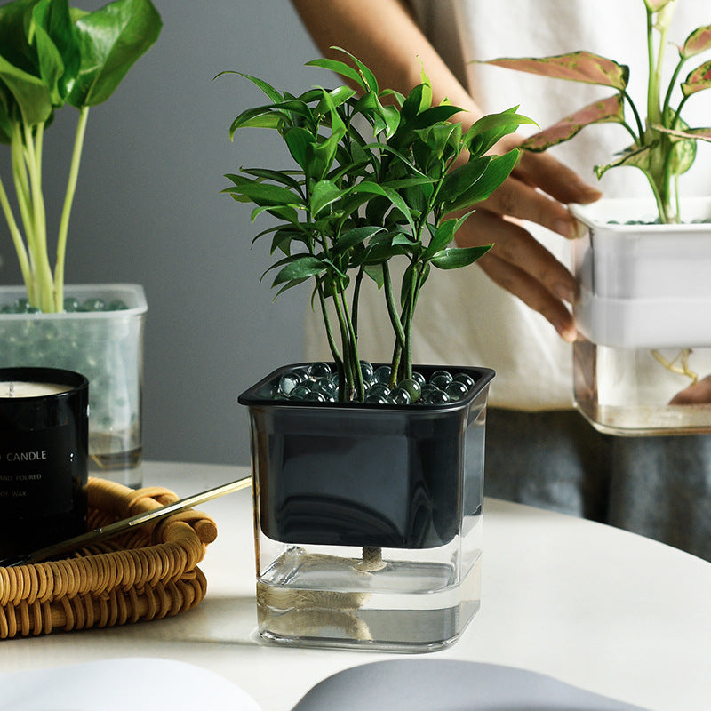Hydroponic Flowerpot!