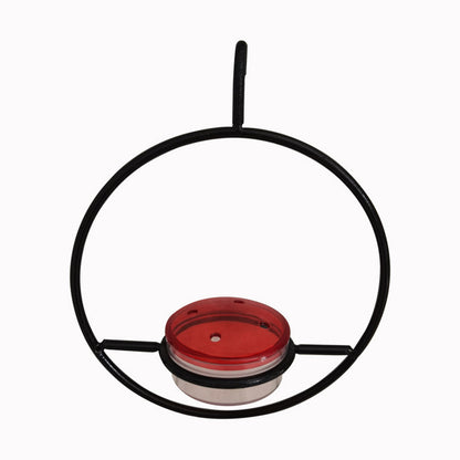 Hummingbird Feeder!