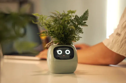 Smart Flowerpot!
