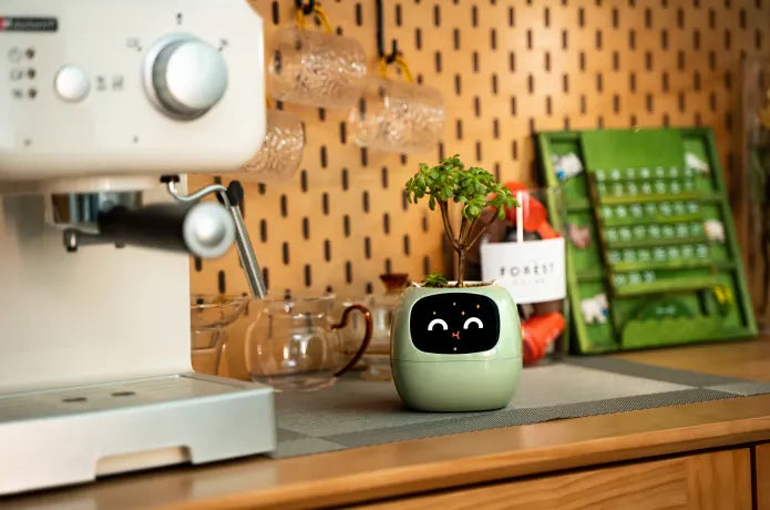 Smart Flowerpot!