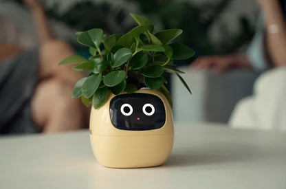 Smart Flowerpot!