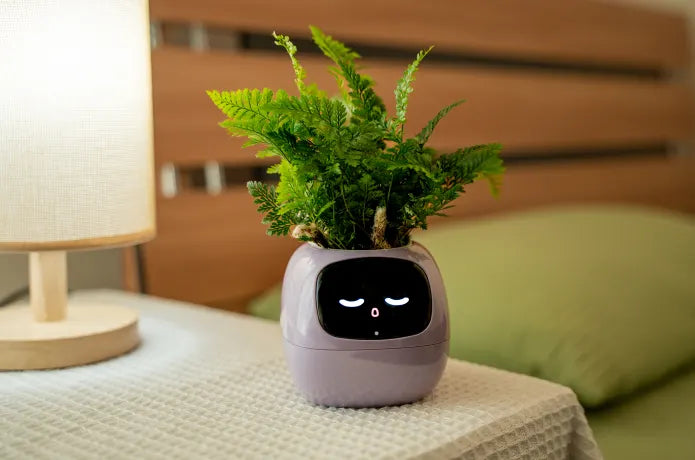 Smart Flowerpot!